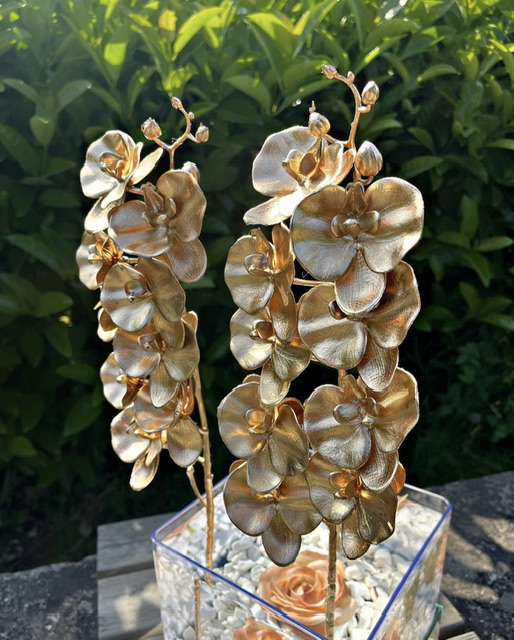 Gold Orkide